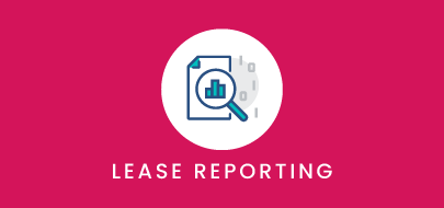 VLU_Lease-Reporting-v2 1 Standard Lease Reporting
