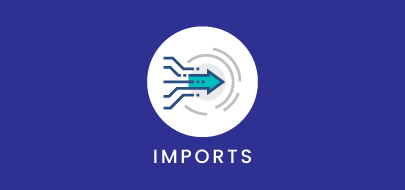 VLU_Imports Financial Entries Import Template